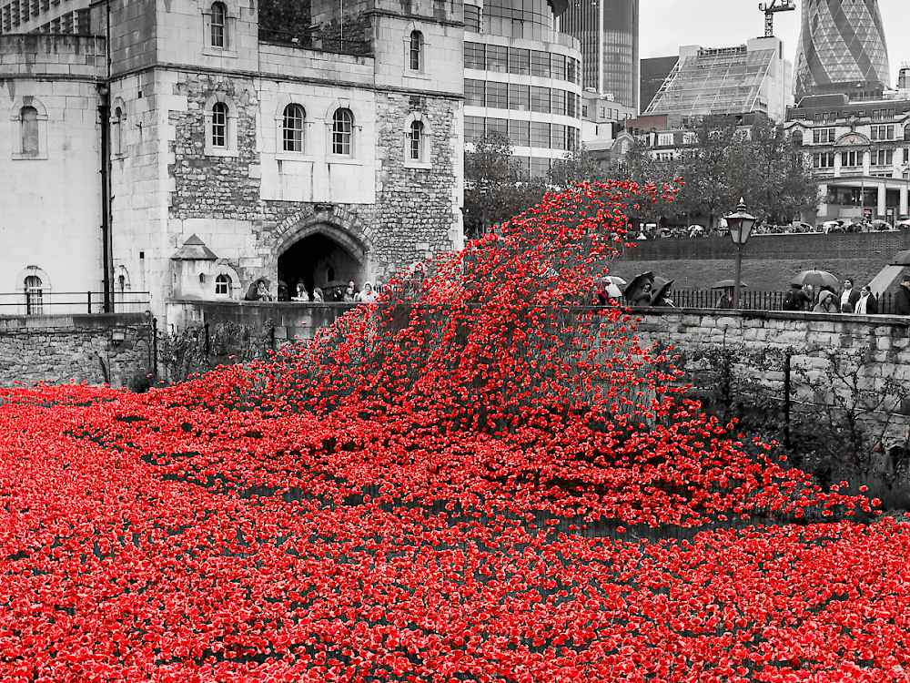 Tower of London - Blood Swept Lands And Seas of Red poppies installation